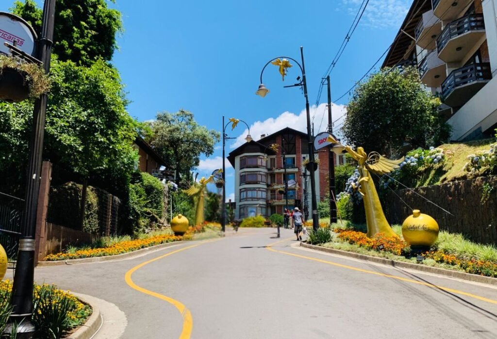 O Que Torna a Rua Torta em Gramado Tão Especial? Veja Aqui 2 Rua Torta de Gramado.