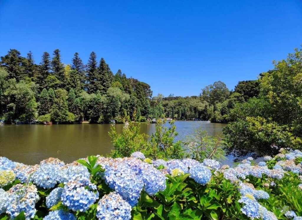 Qual a melhor época para Viajar para Gramado? 2 Foto do Lago Negro de Gramado