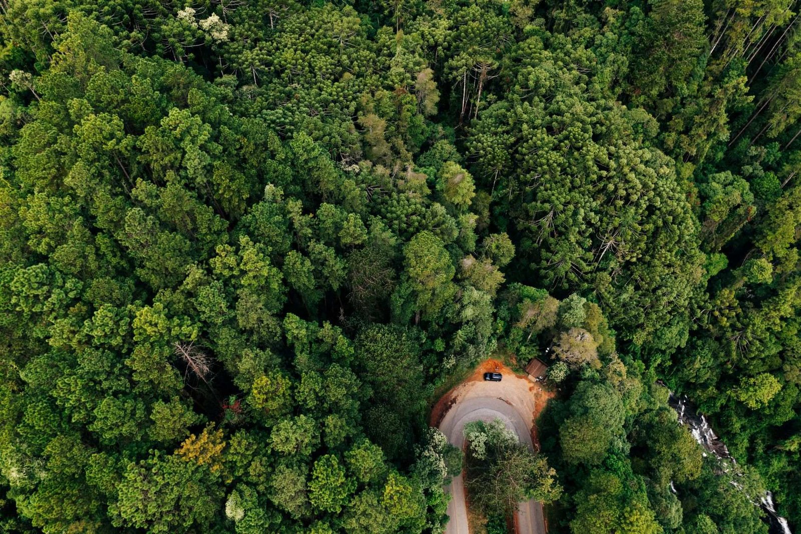 Como Chegar a Gramado: de Avião, Ônibus ou Carro 2 Estrada sinuosa pela Serra Gaúcha com vegetação verde exuberante
