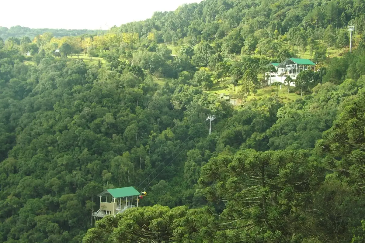 Gramado sem carro: Uber, Bustour ou transfer sem fila 3 Teleférico em área verde de Canela, Rio Grande do Sul