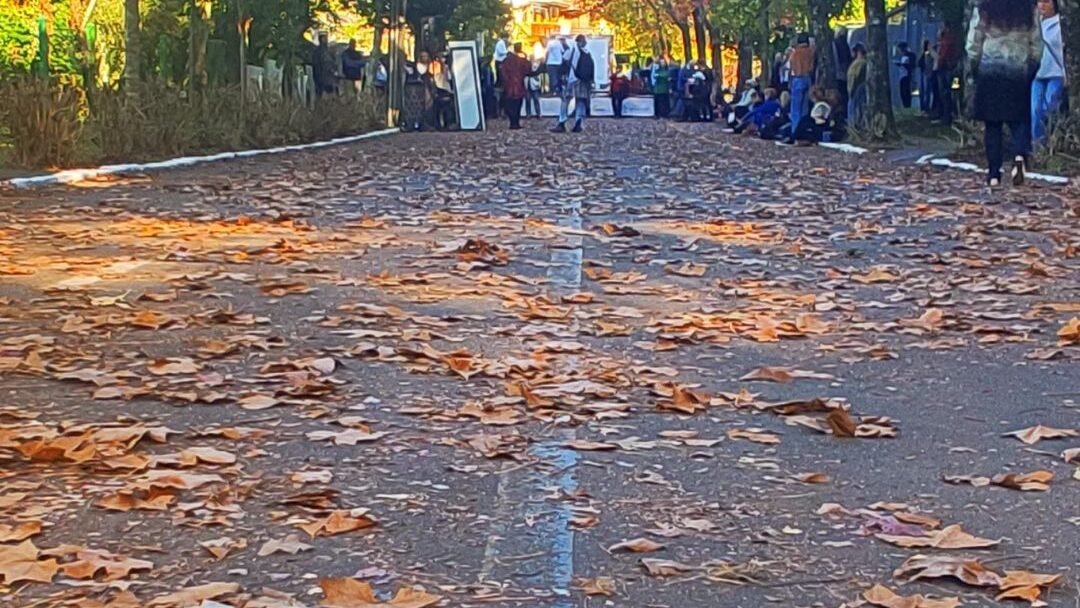 Gramado em Todas as Estações: Guia para Planejar Sua Viagem 3 Rua de Gramado com folhas de outono espalhadas.