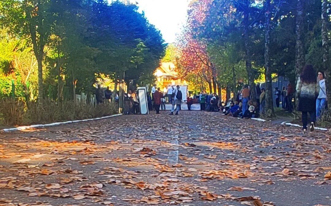 Aproveite o Frio em Gramado e Canela neste Inverno 2 caminhos de outono rua sol edited
