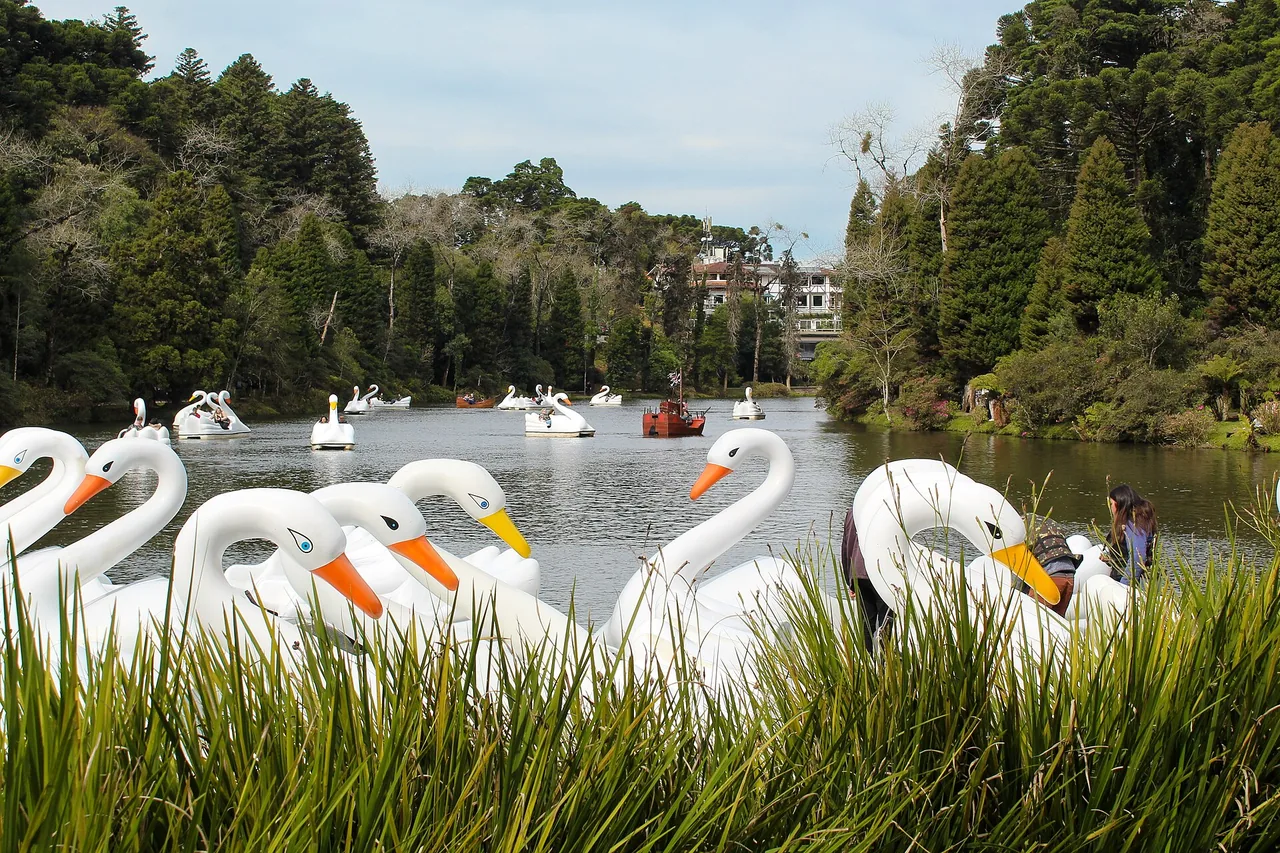 5 Pontos Turísticos Gratuitos em Gramado que Valem a Visita 1 Lago Negro em Gramado com pedalinhos de cisne