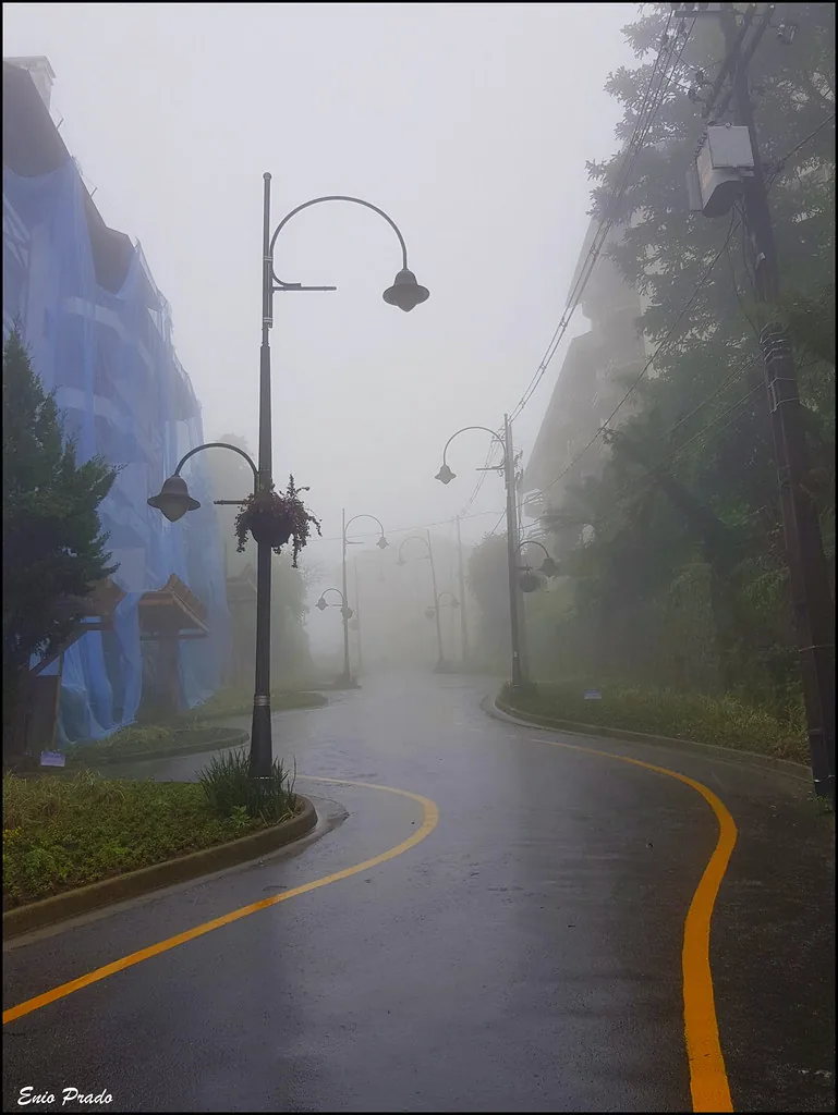 5 Pontos Turísticos Gratuitos em Gramado que Valem a Visita 5 Rua Torta de Gramado, sinuosa e com faixa amarela ondulada na neblina