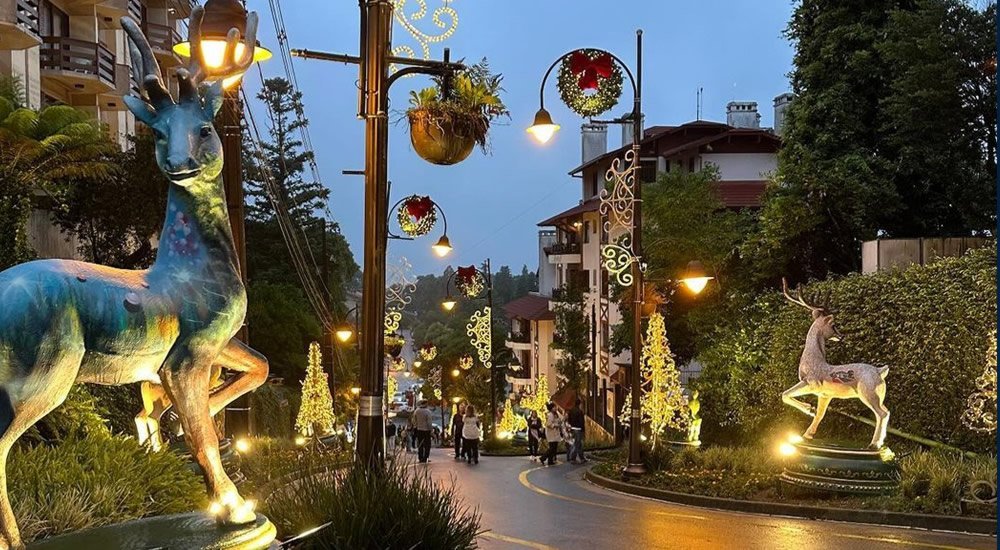 Gramado: Roteiro Perfeito com a Catedral de Pedra como Guia 1 Rua Torta de Gramado com decoração de natal, pessoas andando e tirando fotos da rua