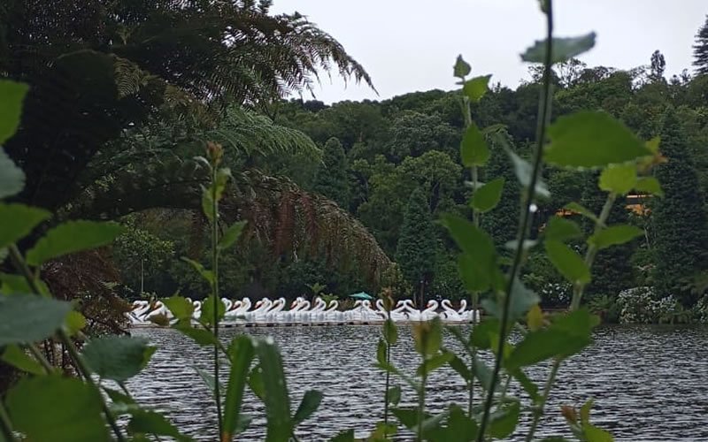 O que fazer em Gramado: Pontos Turísticos e Dicas 3 Foto do Lago Negro de Gramado