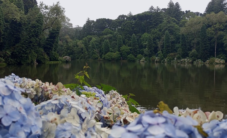 Atrações Gratuitas em Gramado e Canela 4 Lago Negro de Gramado, foto em dia nublado mostrando as água escuras