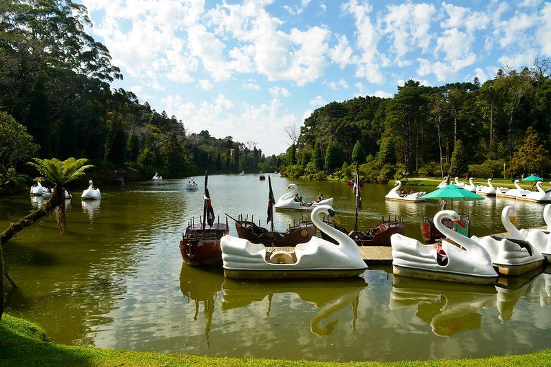 Lago Negro de Gramado: Encanto e Historia en Medio de la Naturaleza 2 Lago Negro con los botes de pedal en Gramado.
