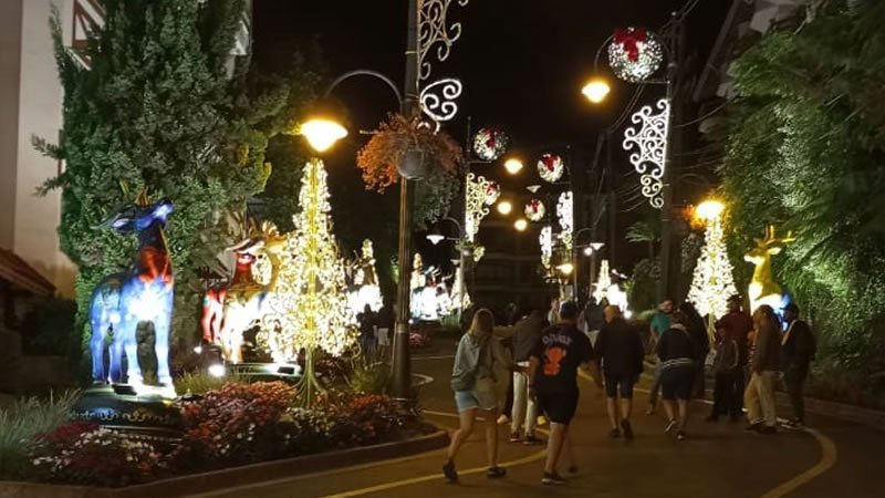 Rua Torta de Gramado, un Encantador Paseo Gratis 2 Foto nocturna de la Rua Torta de Gramado con decoración navideña