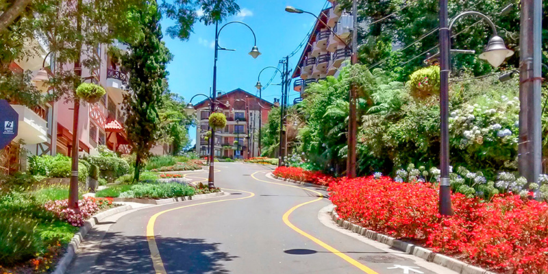 Découvrez Gramado et Canela : Itinéraire de 4 Jours 5 Rua torta Gramado