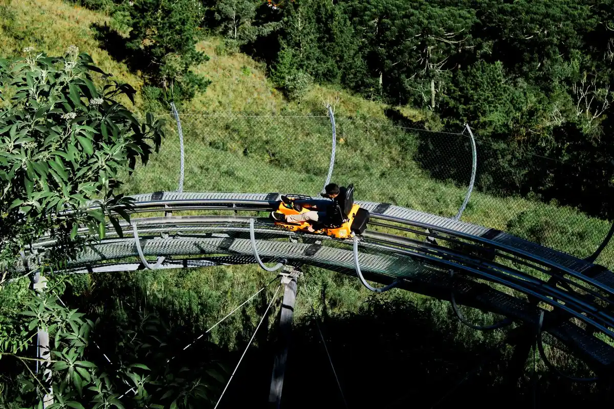 Alpen Park Canela: preços, alturas mínimas e horário 1 Trenó de montanha entre araucárias, atração do tipo do Alpen Park em Canela