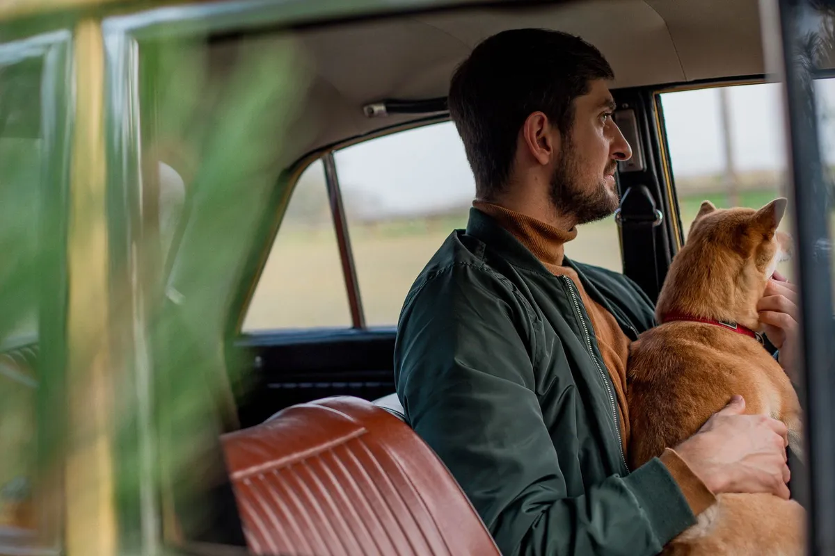 Gramado pet friendly: 6 atrações que aceitam e 2 que barram 2 Homem e cachorro dentro de carro, imagem ilustrativa de viagem de carro com pet