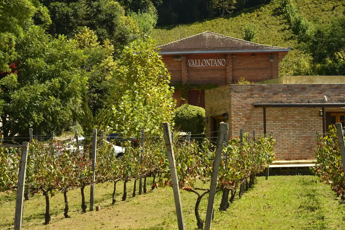 O que fazer em Gramado a dois: 8 programas e o que reservar 3 Vinhedos em fileiras no Vale dos Vinhedos, em Bento Gonçalves